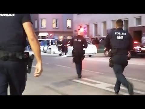 Polizei stürmt Türken-Kurden-Demo in Wien