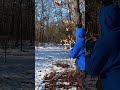 Throwback to the snow! #jhoodydiscs #shortvideo #discgolf #frisbeegolf