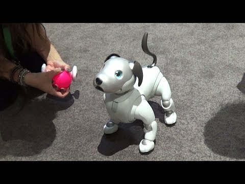 Vídeo: Sony Patenta Un Robot Compañero De 