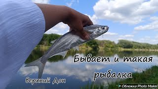 Бывает и такая рыбалка. Верхний Дон Комфорт на природе. август 2025 год