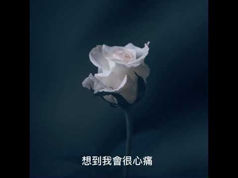 Cover-證據