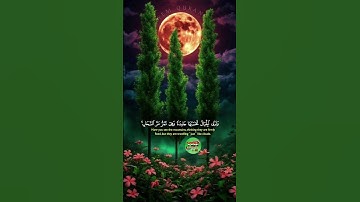 آيات من القرآن الكريم #قران_كريم #قرآن #المصحف #quran #قرآن #الرحمن #اكسبلور #راحة_نفسية