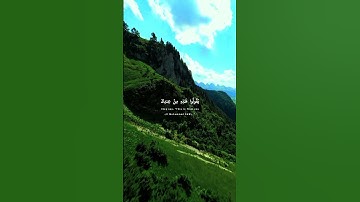 #تلاوة_نادرة_لاول_مرة #تلاوة_مميزة #تلاوة_خاشعة #قران_كريم #قرآن #قران #تلاوة_هادئة #ياسر_الدوسري