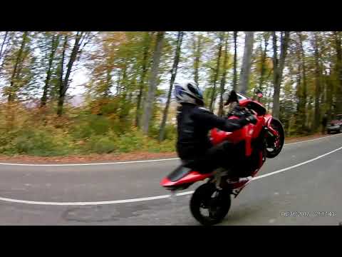 Kawasaki zx6r honda cbr600 kawsaki z750 racha shaori