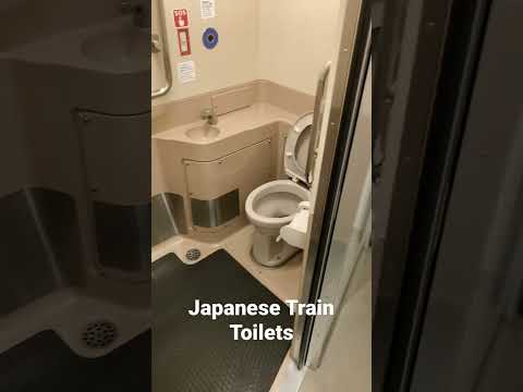 Japanese Train Toilet Style