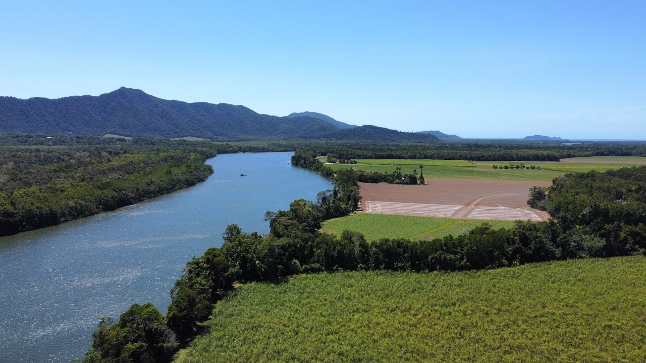 Daintree village YouTube