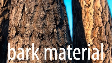 Poplar tree bark Vray material (seamless textures)