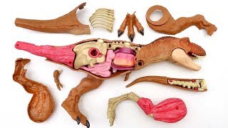 Dinosaur Movie For Kids - Help Tyrannosaurus In Danger! Anatomy Toy Playset 공룡 해부 놀이