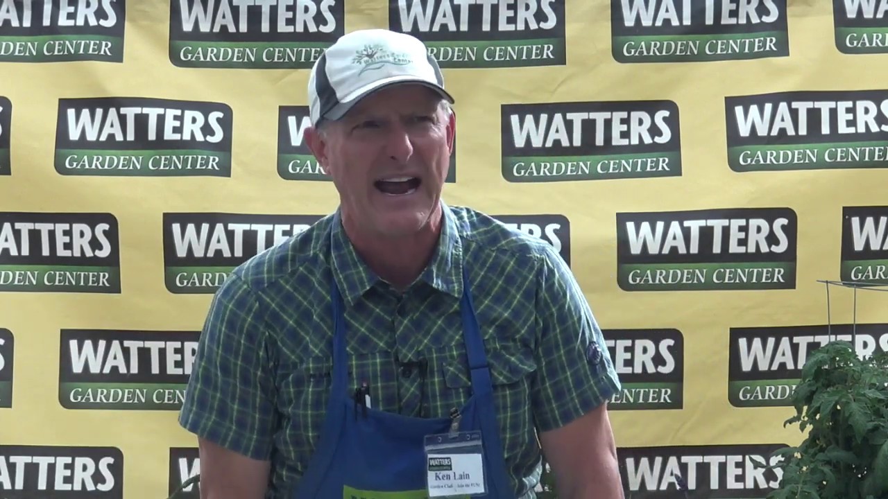 Ken Lain's Watering Tips YouTube