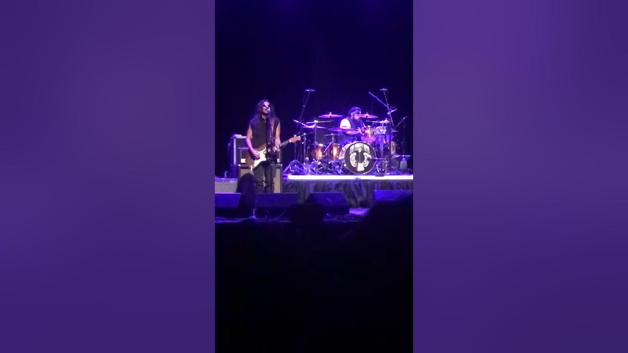 Los lonely boys Los lonely boys