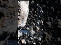 Too Close to Survive 😳☄️ #space #asteroid #spacecraft #universe #spacevideo