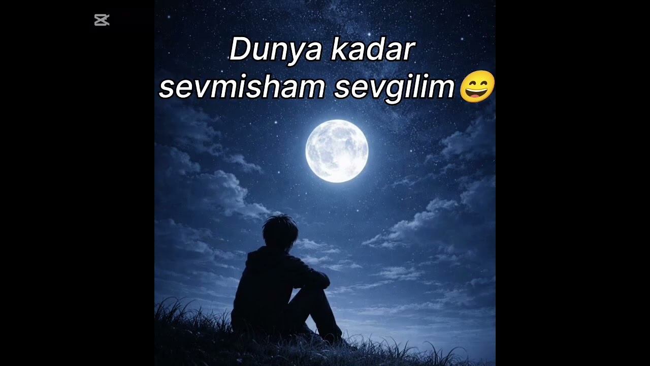 Dunya kadar seni sevmisham sevgilim 😄 Дунйа кадар сени севмишам севгилим #музыка  #севгилим