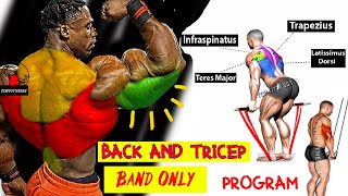 Best resistance band workout  Back and Triceps  Home workout