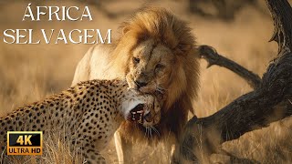 frica Selvagem Adaptarse Ou Morrer  Documentrio Animal