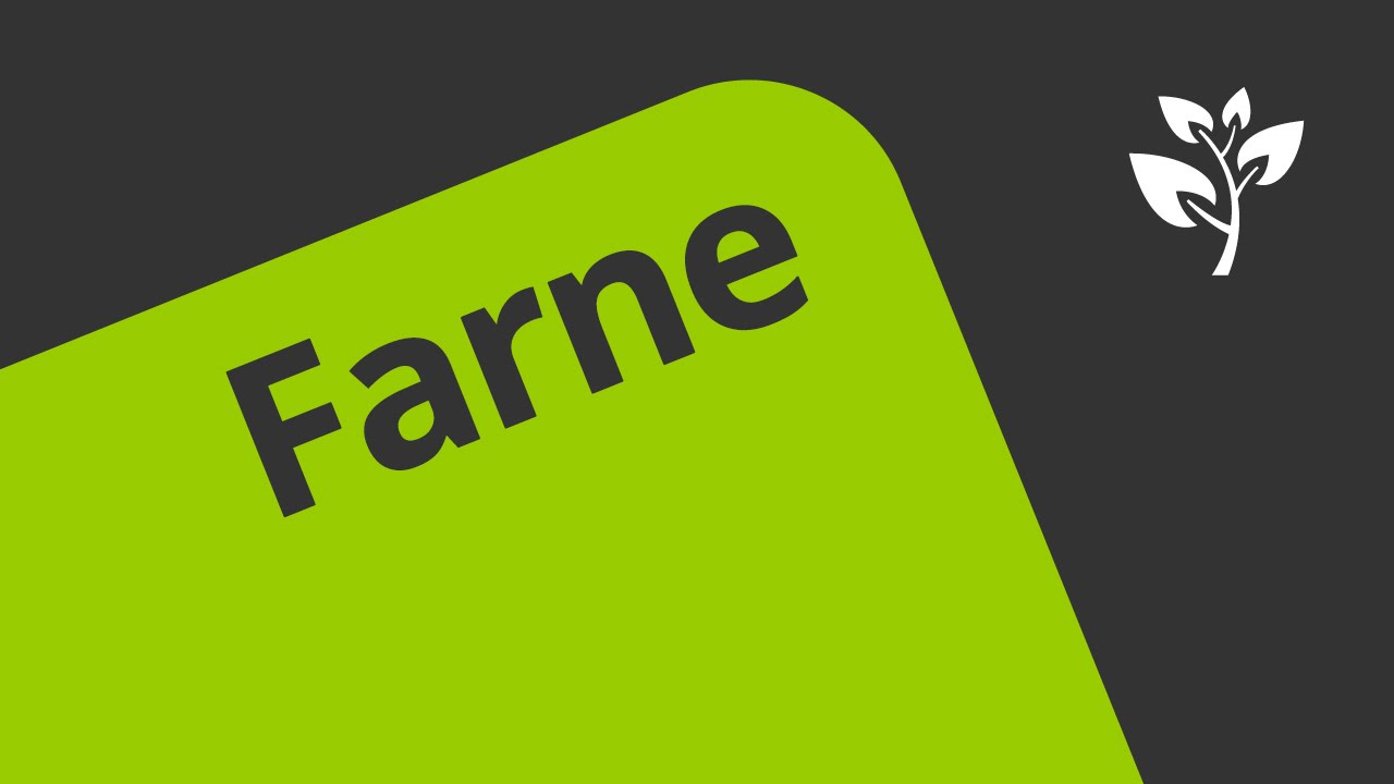 Wie Farne aufgebaut sind | Biologie | Biologie der Pflanzen und Pilze  (Mittelstufe)
