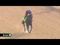 Mor Spirit gallops 4.25
