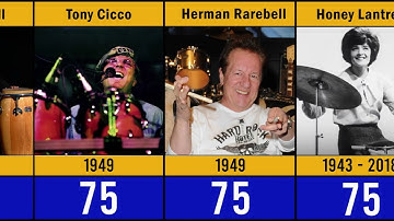 The  100+ Best Drummers Of All Time