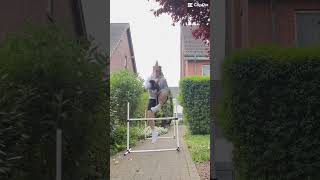 #cennet#turnier#hobbyhorse#hobbyhorsing#fyp#fypage#viral#hobbyhorses#springen#dressur#hh#training