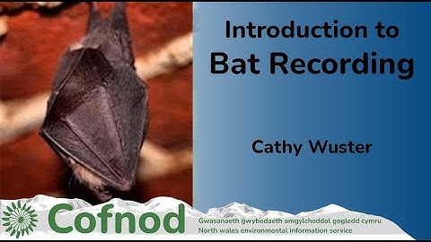 Introduction to Bat Recording - Online Course