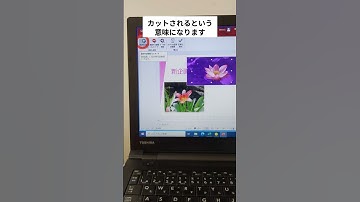 【パワーポイント】画像の背景を削除