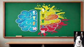 STEM vs. STEAM: A brief comparison Wealth