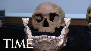 New Fossils Found In Morocco Indicate People Have Been Around Way Longer Than We Thought | TIME