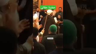 HAQQANY THARIQA|طريقة حقاني #viral #shorts #sufi #short #salafi #sunnah #zikir #haqani#lucu