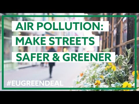 Air pollution: make streets safer & greener for everyone