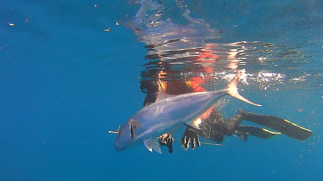 Spearfishing | Methana - Ψαροντούφεκο στα Μέθανα ✅