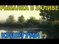 РЫБАЛКА В ЗАЛИВЕ КУШУГУМА