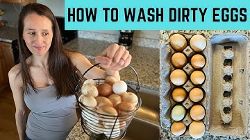 How To Wash Dirty Backyard Chicken Eggs From The Coop
