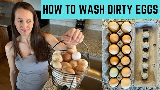 How To Wash Dirty Backyard Chicken Eggs From The Coop