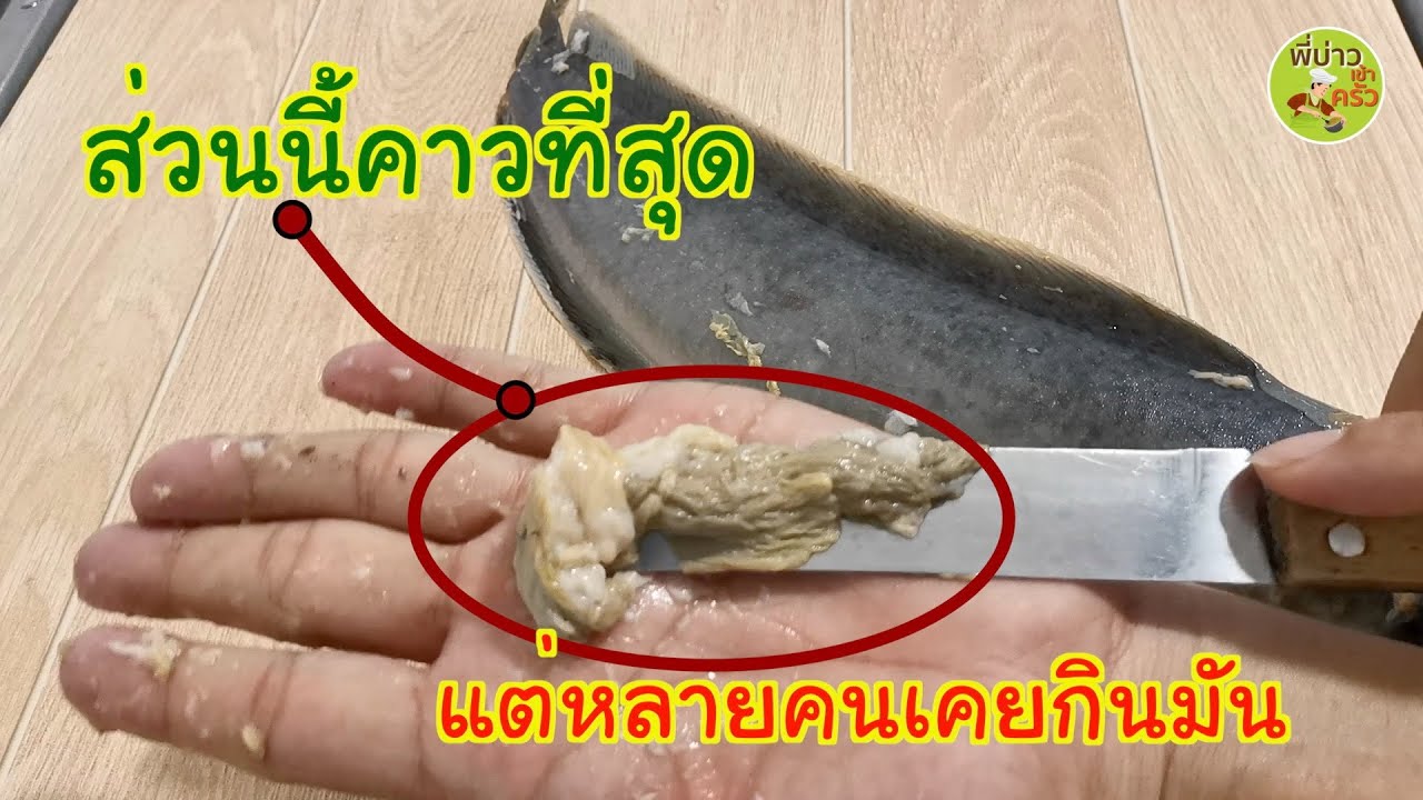 ล้างปลาดุกไม่ให้คาว 3 ขั้นตอน ถ้าไม่เคยทำแบบนี้ ยี้เลย ที่ผ่านมาฉันกินมันเข้าไปเต็มๆ