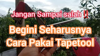 How to Use and Refill a Tapetool for Tying Chili Plants
