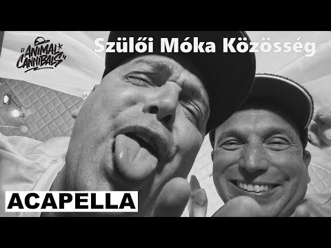 Animal Cannibals - Szülői Móka Közösség (acapella)