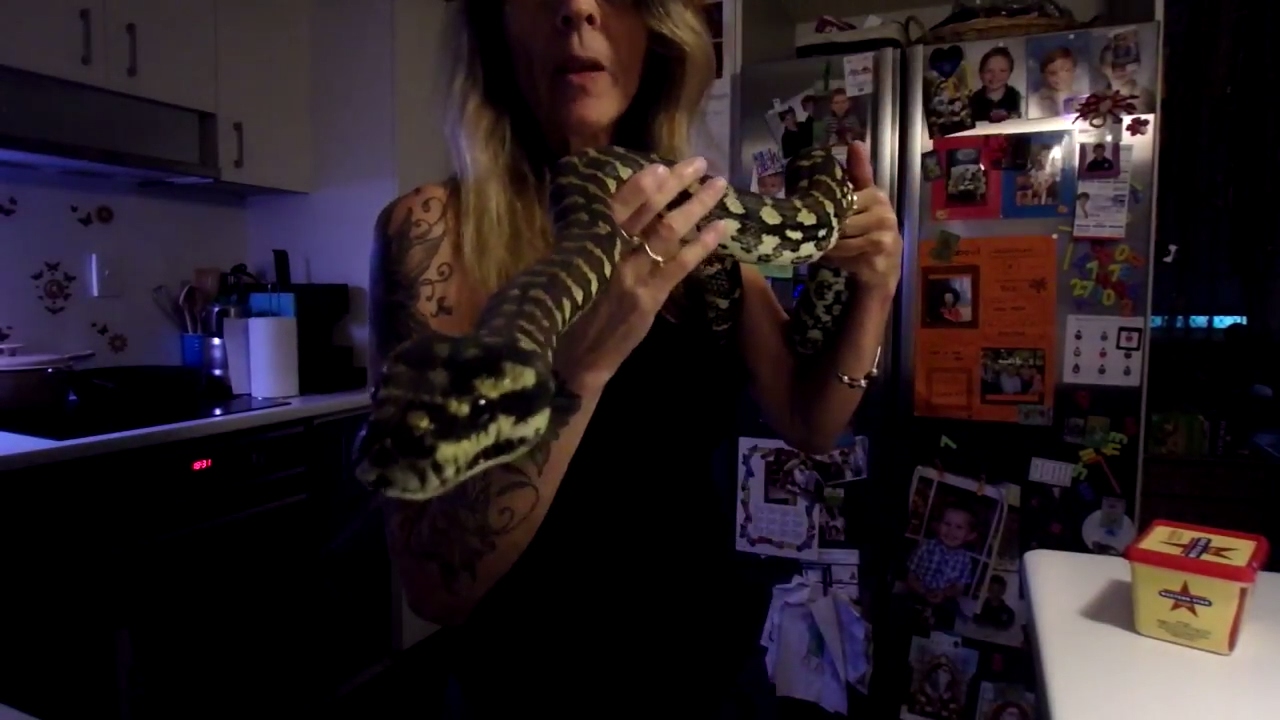 caring for rat snakes Chatting Snake Hygiene & Trust