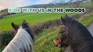 Hacking in the woods - Equestrian Vlog | Pony Fun