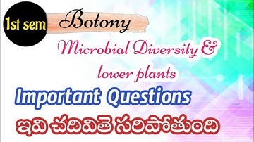 1st sem Botony important Questions || Microbial Diversity & lower plants || Regular & backlog