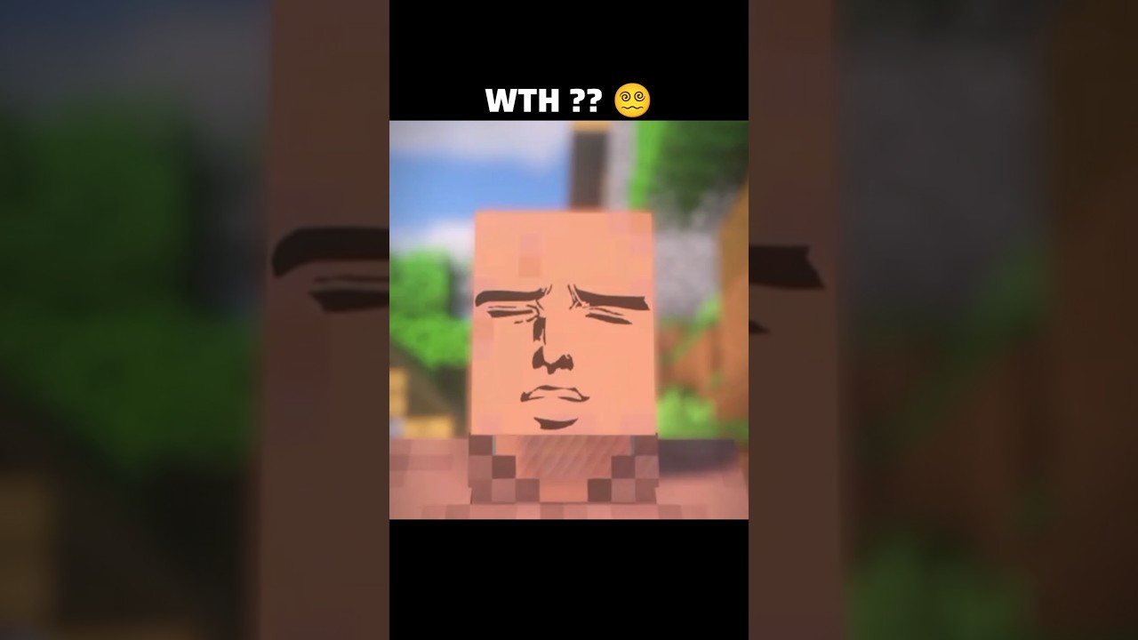 Minecraft Villager Rizz Up