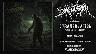 Strangulation - &quot;Synergistic Ferocity&quot; (Display of Escalated Perversion 2020 | NSE)
