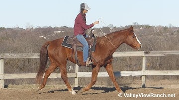 Chic Olena Hickory - riding bridleless! - ValleyViewRanch.net