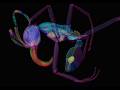 3D Segmentation from Antscan Micro-CT Scans