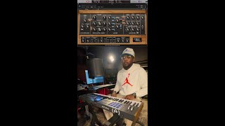 Add Some Groove with UAD Minimoog