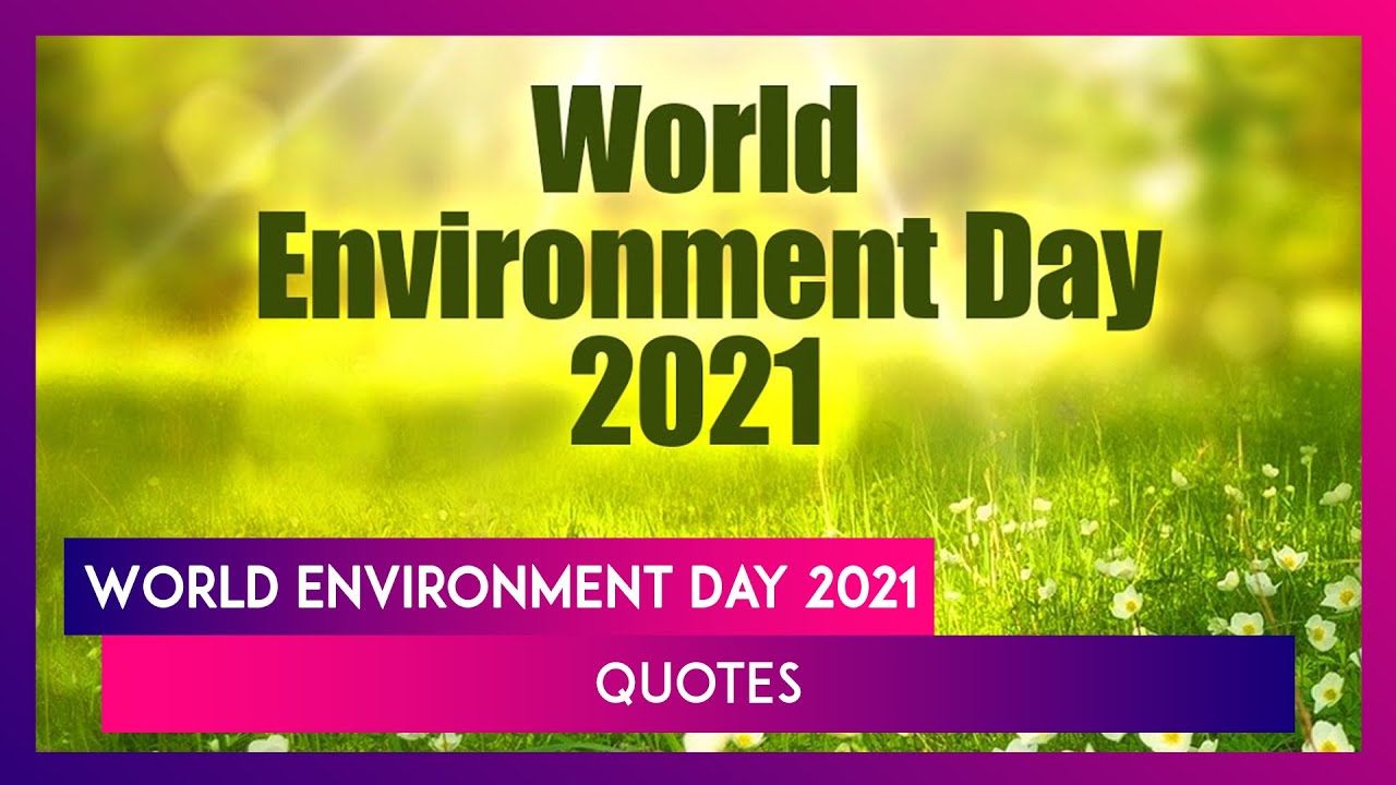 World Environment Day 2021 Quotes, Thoughts & Slogans To Raise ...