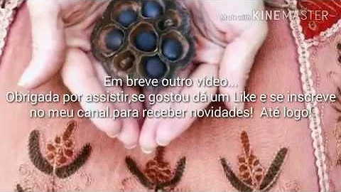 Como plantar flor de lótus no vaso?