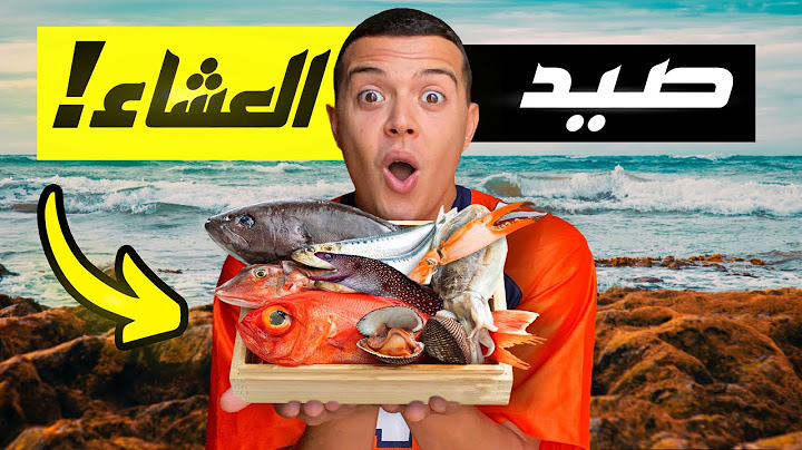 تحدي صيد 10 كائنات بحرية مختلفة لطبخهم على الشاطئ !