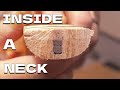 GUITAR NECK CROSS SECTION REVEALED - What Your Guitar Neck is Made Of