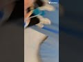 الي جابك هو حبي ولاشي مستخبيه