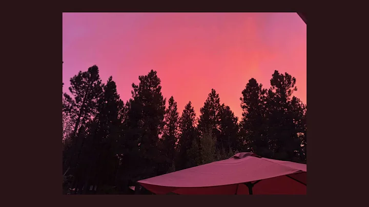 Forest Bathing Reflection by Katie Hall