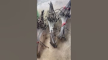 Bẫy chuột dây cap không gỉ dùng 5-7 năm #sinhtontrongrung #survival #xuhuong #thợrừng